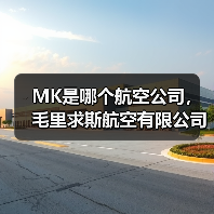 MK是哪个航空公司，毛里求斯航空有限公司标志（图4）