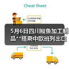 5月6日四川鳗鱼加工制品**搭乘中欧班列出口（图3）
