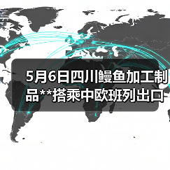 5月6日四川鳗鱼加工制品**搭乘中欧班列出口（图1）