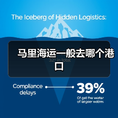 马里海运一般去哪个港口（图3）