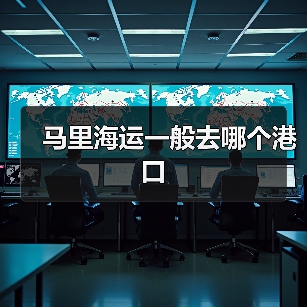 马里海运一般去哪个港口（图4）