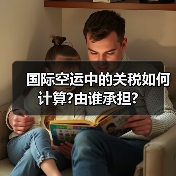 国际空运中的关税如何计算?由谁承担?(图4) 国际空运中的关税如何计算?由谁承担?(图4)