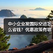 中小企业发国际空运怎么省钱?优惠政策有哪些(图3) 中小企业发国际空运怎么省钱?优惠政策有哪些(图3)