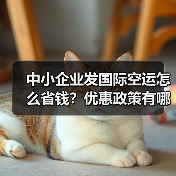 中小企业发国际空运怎么省钱?优惠政策有哪些(图2) 中小企业发国际空运怎么省钱?优惠政策有哪些(图2)
