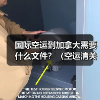 国际空运到加拿大需要什么文件?(空运清关要求有哪些)(图4) 国际空运到加拿大需要什么文件?(空运清关要求有哪些)(图4)