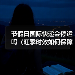节假日国际快递会停运吗（旺季时效如何保障国际快递时效）（图3）