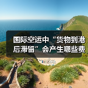 国际空运中“货物到港后滞留”会产生哪些费用？如何避免（图3）