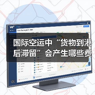 国际空运中“货物到港后滞留”会产生哪些费用？如何避免（图4）