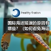 国际海运延误的原因有哪些?(如何避免海运货物延误)(图1) 国际海运延误的原因有哪些?(如何避免海运货物延误)(图1)