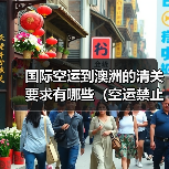 国际空运到澳洲的清关要求有哪些(空运禁止运输的物品有哪些)(图2) 国际空运到澳洲的清关要求有哪些(空运禁止运输的物品有哪些)(图2)