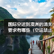 国际空运到澳洲的清关要求有哪些(空运禁止运输的物品有哪些)(图4) 国际空运到澳洲的清关要求有哪些(空运禁止运输的物品有哪些)(图4)