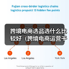 跨境电商选品选什么比较好（跨境电商运营干货知识分享）（图4）