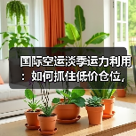 国际空运淡季运力利用:如何抓住低价仓位,降低备货成本(图2) 国际空运淡季运力利用:如何抓住低价仓位,降低备货成本(图2)