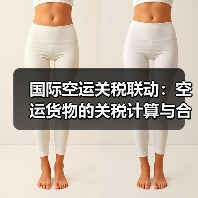 国际空运关税联动:空运货物的关税计算与合规申报(图4) 国际空运关税联动:空运货物的关税计算与合规申报(图4)