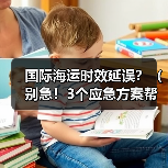 国际海运时效延误？（别急！3个应急方案帮你保住订单交付期）（图4）