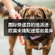 国际快递目的地派送:欧美末端配送服务差异对比(图4) 国际快递目的地派送:欧美末端配送服务差异对比(图4)