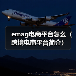 emag电商平台怎么（跨境电商平台简介）（图4）
