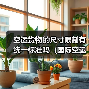 空运货物的尺寸限制有统一标准吗(国际空运干货知识分享)(图3) 空运货物的尺寸限制有统一标准吗(国际空运干货知识分享)(图3)