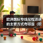 欧洲国际专线尾程派送的主要方式有哪些(欧洲尾程派送本地快递公司有哪些)(图1) 欧洲国际专线尾程派送的主要方式有哪些(欧洲尾程派送本地快递公司有哪些)(图1)
