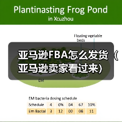 亚马逊FBA怎么发货(亚马逊卖家看过来)(图2) 亚马逊FBA怎么发货(亚马逊卖家看过来)(图2)