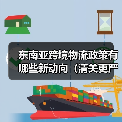 东南亚跨境物流政策有哪些新动向(清关更严了吗)(图2) 东南亚跨境物流政策有哪些新动向(清关更严了吗)(图2)
