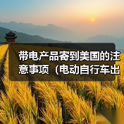 带电产品寄到美国的注意事项(电动自行车出口美国海运需要的资料有哪些)(图3) 带电产品寄到美国的注意事项(电动自行车出口美国海运需要的资料有哪些)(图3)