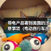 带电产品寄到美国的注意事项(电动自行车出口美国海运需要的资料有哪些)(图4) 带电产品寄到美国的注意事项(电动自行车出口美国海运需要的资料有哪些)(图4)