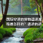 国际空运的货物退运流程是怎样的?退运的运费和清关成本高吗(图2) 国际空运的货物退运流程是怎样的?退运的运费和清关成本高吗(图2)