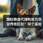 国际快递代理和官方直营有啥区别?哪个服务更好(图3) 国际快递代理和官方直营有啥区别?哪个服务更好(图3)