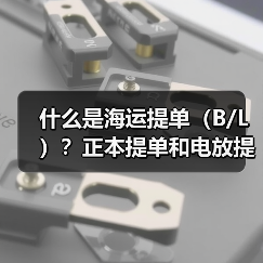 什么是海运提单(B/L)?正本提单和电放提单的风险差异在哪(图4) 什么是海运提单(B/L)?正本提单和电放提单的风险差异在哪(图4)