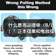 什么是海运提单(B/L)?正本提单和电放提单的风险差异在哪(图2) 什么是海运提单(B/L)?正本提单和电放提单的风险差异在哪(图2)