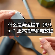 什么是海运提单(B/L)?正本提单和电放提单的风险差异在哪(图1) 什么是海运提单(B/L)?正本提单和电放提单的风险差异在哪(图1)