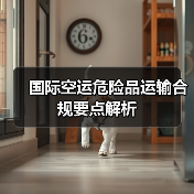 国际空运危险品运输合规要点解析(图4) 国际空运危险品运输合规要点解析(图4)