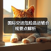 国际空运危险品运输合规要点解析(图1) 国际空运危险品运输合规要点解析(图1)