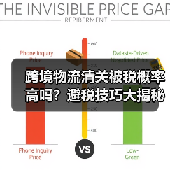 跨境物流清关被税概率高吗?避税技巧大揭秘(图3) 跨境物流清关被税概率高吗?避税技巧大揭秘(图3)