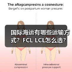 国际海运有哪些运输方式?FCL LCL怎么选?(图4) 国际海运有哪些运输方式?FCL LCL怎么选?(图4)