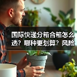 国际快递分箱合箱怎么选?哪种更划算?风险有哪些?(图2) 国际快递分箱合箱怎么选?哪种更划算?风险有哪些?(图2)