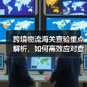 跨境物流海关查验重点解析,如何高效应对查验风险?(图3) 跨境物流海关查验重点解析,如何高效应对查验风险?(图3)