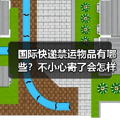 国际快递禁运物品有哪些？不小心寄了会怎样（图3）