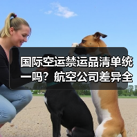 国际空运禁运品清单统一吗?航空公司差异全解析(图3) 国际空运禁运品清单统一吗?航空公司差异全解析(图3)
