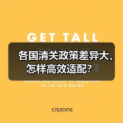 各国清关政策差异大,怎样高效适配?(图3) 各国清关政策差异大,怎样高效适配?(图3)