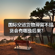 国际空运货物滞留不提货会有哪些后果?(图2) 国际空运货物滞留不提货会有哪些后果?(图2)