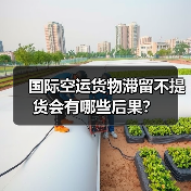 国际空运货物滞留不提货会有哪些后果?(图4) 国际空运货物滞留不提货会有哪些后果?(图4)