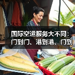 国际空运服务大不同:门到门、港到港、门到港怎么选?(图3) 国际空运服务大不同:门到门、港到港、门到港怎么选?(图3)