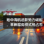 地中海航运新势力崛起，革新服务模式抢占市场（图3）