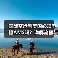 国际空运到美国必须申报AMS吗?详解流程与关键要点(图3) 国际空运到美国必须申报AMS吗?详解流程与关键要点(图3)