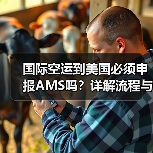 国际空运到美国必须申报AMS吗?详解流程与关键要点(图1) 国际空运到美国必须申报AMS吗?详解流程与关键要点(图1)