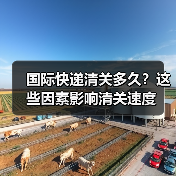 国际快递清关多久?这些因素影响清关速度(图2) 国际快递清关多久?这些因素影响清关速度(图2)