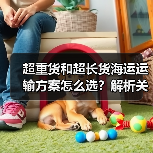 超重货和超长货海运运输方案怎么选?解析关键要点与注意事项(图3) 超重货和超长货海运运输方案怎么选?解析关键要点与注意事项(图3)