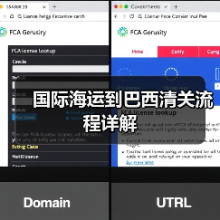 国际海运到巴西清关流程详解(图4) 国际海运到巴西清关流程详解(图4)